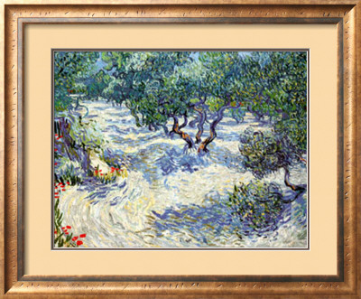 Olive Orchard, 1889 by Vincent Van Gogh Pricing Limited Edition Print image