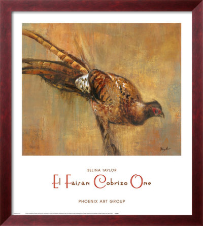 El Faisan Cobrizo One by Selina Taylor Pricing Limited Edition Print image