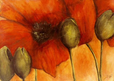 Poppy Buds by Dagmar Zupan Pricing Limited Edition Print image