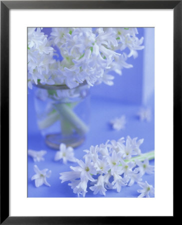 White Hyacinths In Vase With Flowers At Base Set Against Pale Blue Background by James Guilliam Pricing Limited Edition Print image