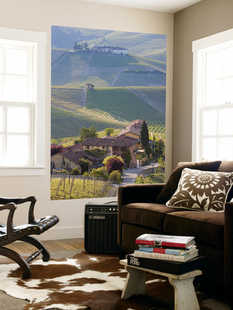 Hillsides Covered With Vineyards, Nr Castiglione Falletto, Piedmont, Italy by Peter Adams Pricing Limited Edition Print image