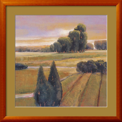 Summer Cypress by Langford Pricing Limited Edition Print image