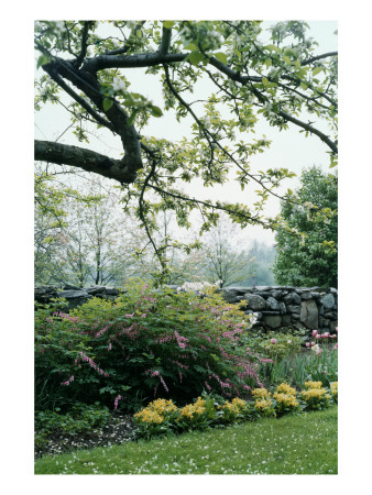 House & Garden - May 1954 by Samuel H. Gottscho Pricing Limited Edition Print image