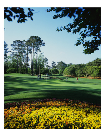 Caledonia Golf And Fish Club, Hole 11 by Stephen Szurlej Pricing Limited Edition Print image