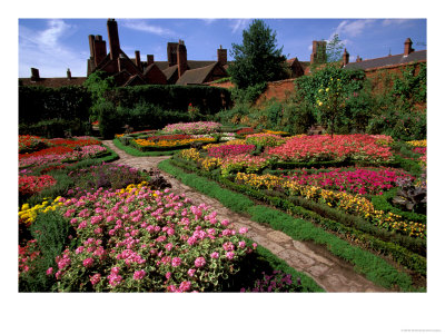 Elizabethan Knot Garden, Shakespeare's Home, Stratford-On-Avon, England by Nik Wheeler Pricing Limited Edition Print image