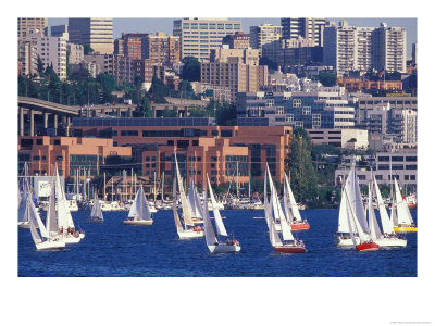 Sailboat Race On Lake Union, Seattle, Washington, Usa by William Sutton Pricing Limited Edition Print image