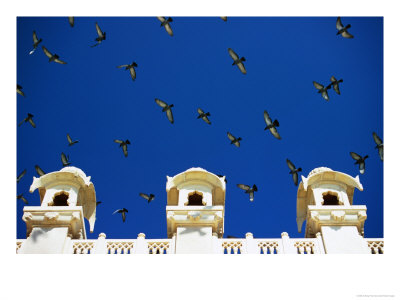 Pigeons Fly Against Blue Sky And Roof Of Jaswant Thada Mausoleum, Jodhpur, India by Anthony Plummer Pricing Limited Edition Print image