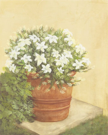 White Flowers In Bucket by Cuca Garcia Pricing Limited Edition Print image