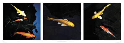 Poissons Japonais by Guillaume Plisson Pricing Limited Edition Print image