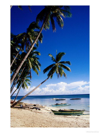 Palm Trees And Outrigger On Paliton Beach, Siquijore, Philippines by Craig Pershouse Pricing Limited Edition Print image