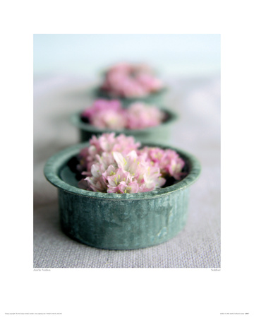 Soliflore by Amelie Vuillon Pricing Limited Edition Print image