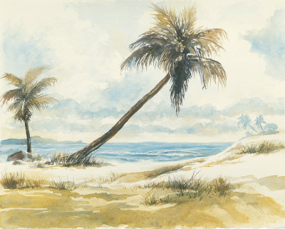 Tropic Daydreams Ii by Deborah Ponder Pricing Limited Edition Print image