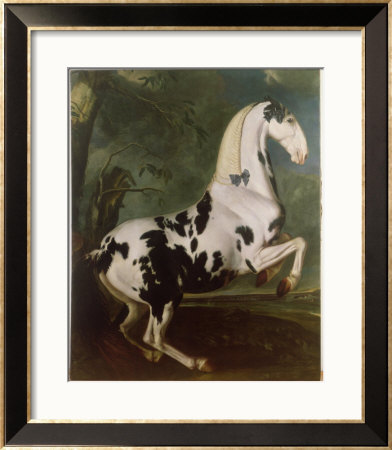 The Piebald Stallion At The Eisgruber Stud by Johann Georg De Hamilton Pricing Limited Edition Print image