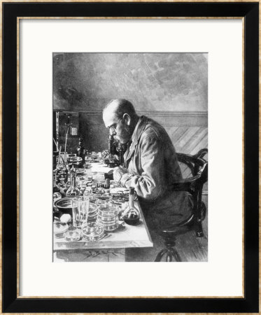 Robert Koch From The Illustrated London News, 1897 by Frank Hancox Pricing Limited Edition Print image