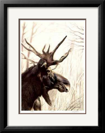Moose by Robert Pow Pricing Limited Edition Print image