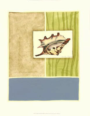 Seaside Shells Ii by Jennifer Goldberger Pricing Limited Edition Print image