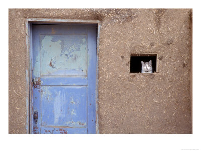 Next To A Blue Door, A Cat Peers Out Of The Window Of An Adobe House by Ira Block Pricing Limited Edition Print image