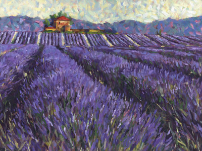 Lavender Fields I by Lorraine Westwood Pricing Limited Edition Print image