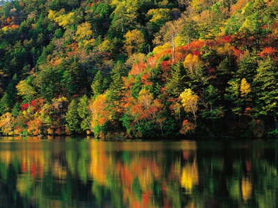 Calm Lake By Forest by Sahide Fukayama Pricing Limited Edition Print image