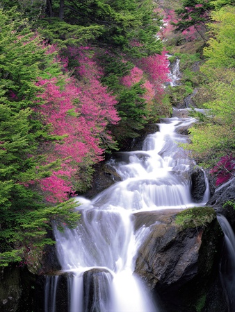 Brook And Waterfall In Forest by Nobuaki Sumida Pricing Limited Edition Print image