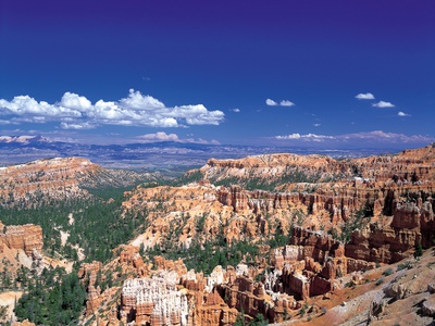 Bryce Canyon, Utah by Michael Evan Sewell Pricing Limited Edition Print image