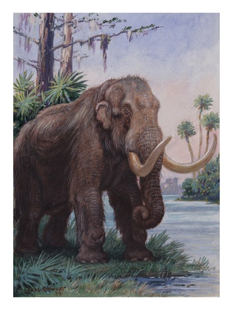 When The Age Of Man Began, The Mastodon Still Inhabited North America by National Geographic Society Pricing Limited Edition Print image