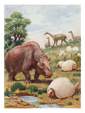 The Toxodon, Glyptodon And Macrauchenias Lived In South America by National Geographic Society Pricing Limited Edition Print image