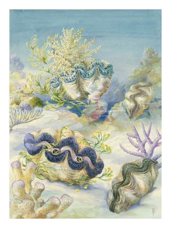 Giant Clams Lay Embedded In Sand by National Geographic Society Pricing Limited Edition Print image