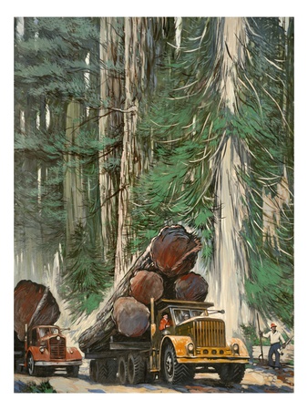 Men Drive Trucks Loaded With Massive Tree Trunks by National Geographic Society Pricing Limited Edition Print image