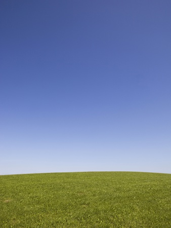 A Field And Sky by Carlos Hernandez Pricing Limited Edition Print image