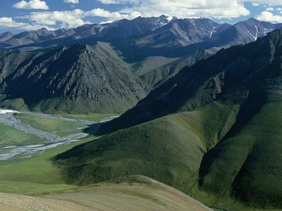 Mountains In Arctic National Wildlife Refuge by Pat O'hara Pricing Limited Edition Print image