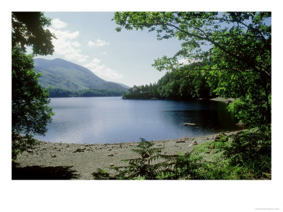 View South Over Thirlmere Resevoir From Northern Shore, Cumbria, Uk by Ian West Pricing Limited Edition Print image