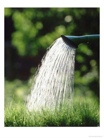 Watering Grass by Herbert Kehrer Pricing Limited Edition Print image