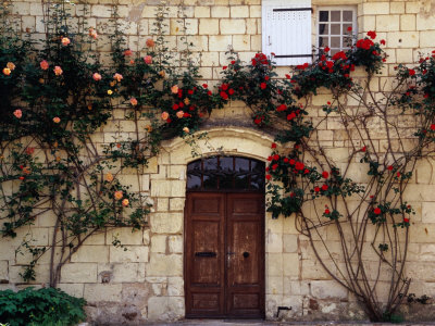 Roses Climbing Over Front Of House In The Loire Valley, Loches, France by Diana Mayfield Pricing Limited Edition Print image