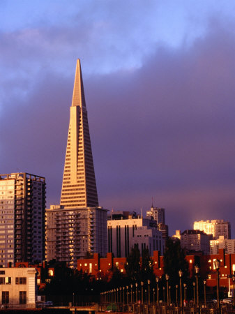 The Transamerica Pyramid And City Skyline, San Francisco, California, Usa by Curtis Martin Pricing Limited Edition Print image