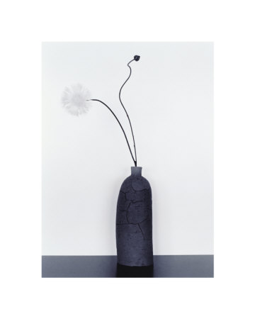 Zen Vase by Ikki Mitsuhashi Pricing Limited Edition Print image