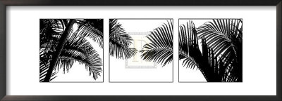 Palm Frond Triptych Ii by Bill Philip Pricing Limited Edition Print image
