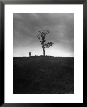 Author Marion L. Starkey, Studying The Outskirts Of Gallows Hill by Nina Leen Pricing Limited Edition Print image