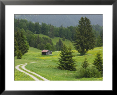 Alpine Field, Bad Hindelang, Deutsche Alpenstrasse, Bavaria, Germany by Walter Bibikow Pricing Limited Edition Print image