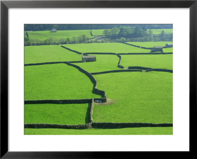 Swaledale, Yorkshire Dales, Yorkshire, England by Steve Vidler Pricing Limited Edition Print image