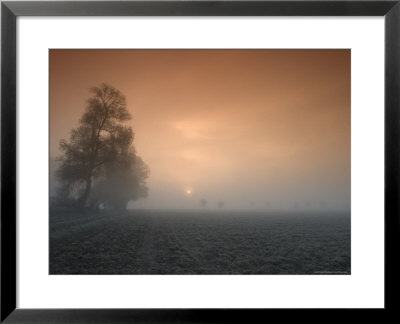 Autumn Impression, Luebbecke, Germany by Thorsten Milse Pricing Limited Edition Print image