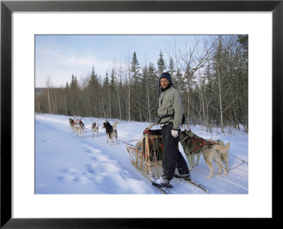 Dog Sledding With Aventure Inukshuk, Quebec, Canada by Alison Wright Pricing Limited Edition Print image