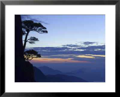 Silhouette Of Pine Tree, White Cloud Scenic Area, Huang Shan, Anhui Province, China by Jochen Schlenker Pricing Limited Edition Print image