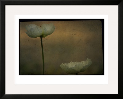 Study Of Two White Flowers by Mia Friedrich Pricing Limited Edition Print image