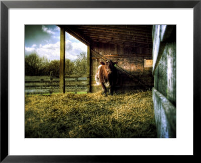 Mama by Stephen Arens Pricing Limited Edition Print image