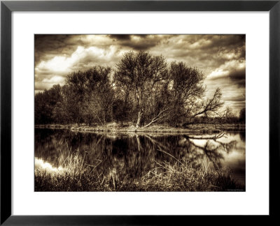 Spring by Stephen Arens Pricing Limited Edition Print image