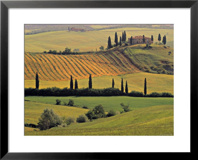 Val D'orcia, Tuscany, Italy by Walter Bibikow Pricing Limited Edition Print image