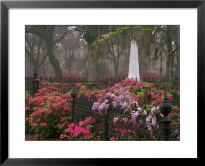 Spring Azaleas At Historic Bonaventure Cemetery, Savannah, Georgia by Joanne Wells Pricing Limited Edition Print image