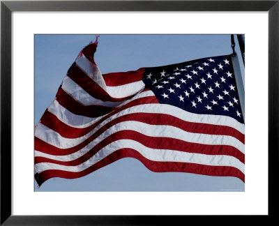 American Flag Waving In The Breeze by Todd Gipstein Pricing Limited Edition Print image