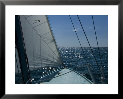 Bow Of A Sailboat Under Sail On The Thames River by Todd Gipstein Pricing Limited Edition Print image